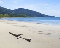 Cape Tribulation Headland