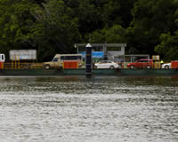 Daintree River Ferry Crossing