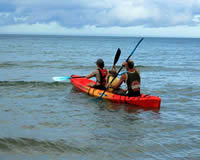 Paddletrek Sea Kayak - Daintree Tours Paddletrek Sea Kayak - Daintree - Daintree Tours